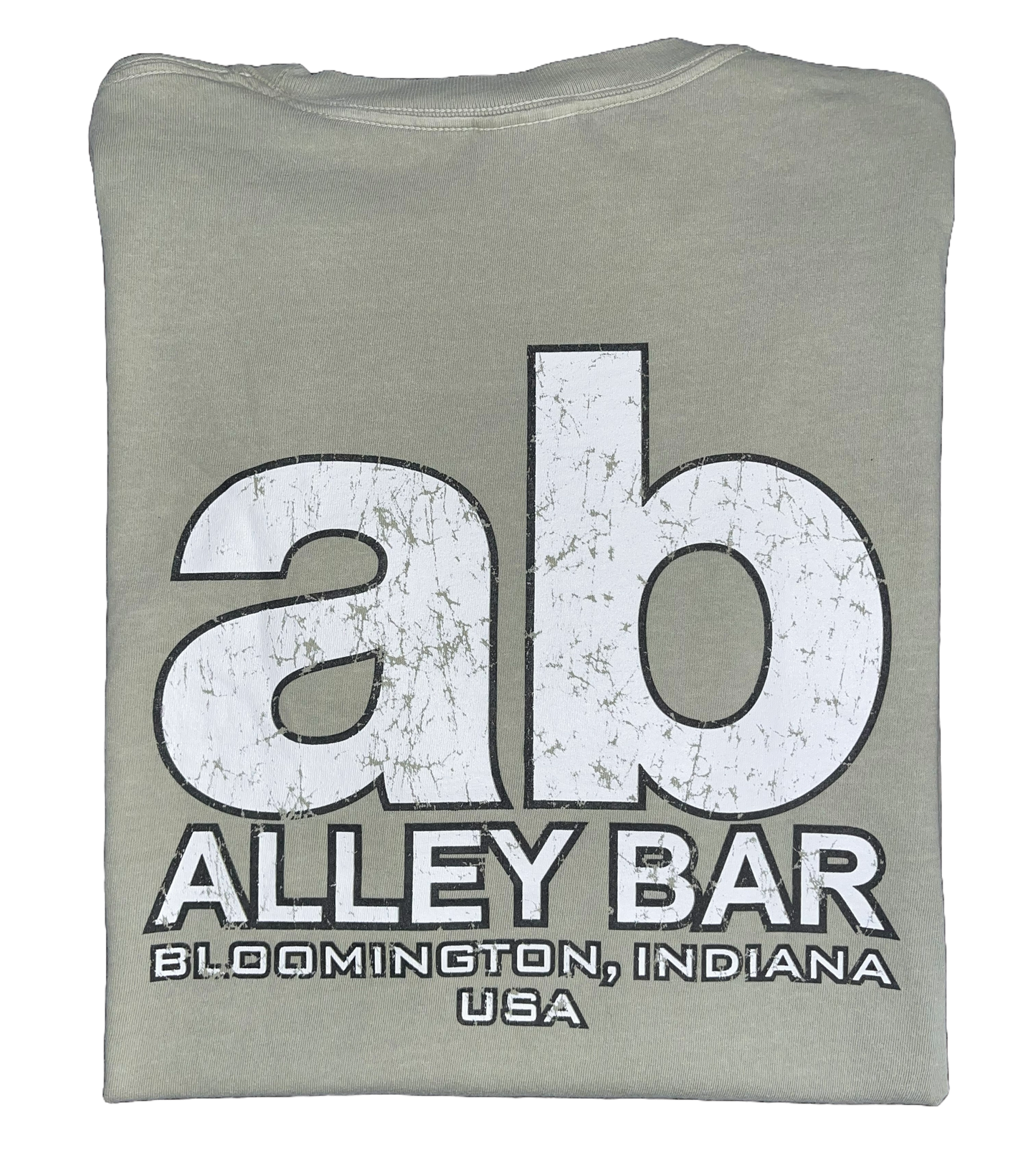 AB Comfort Colors T-Shirt - Sandstone